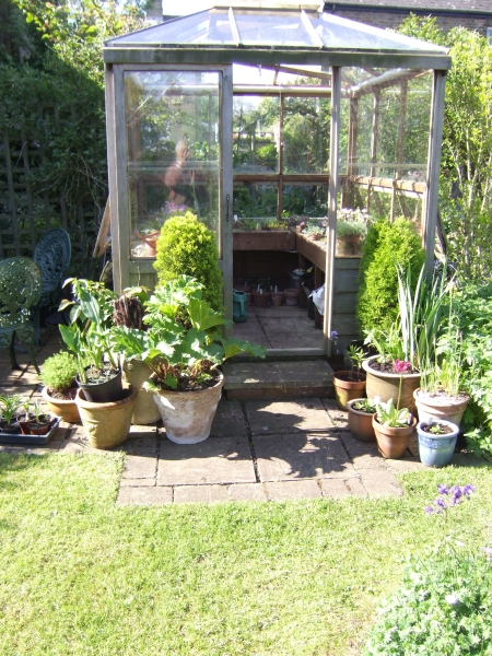 Ely Open Gardens